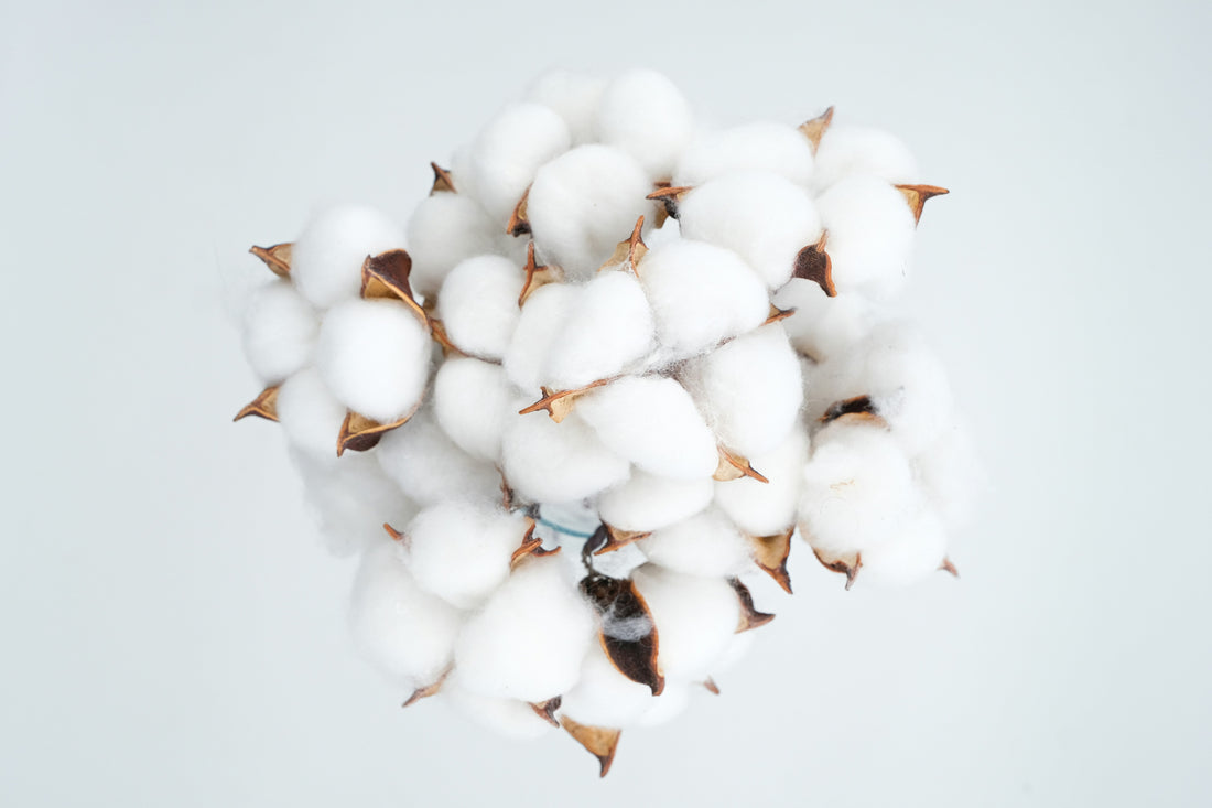 How Cotton Thread Count Affects the Feel of Everyday Bed Sheets