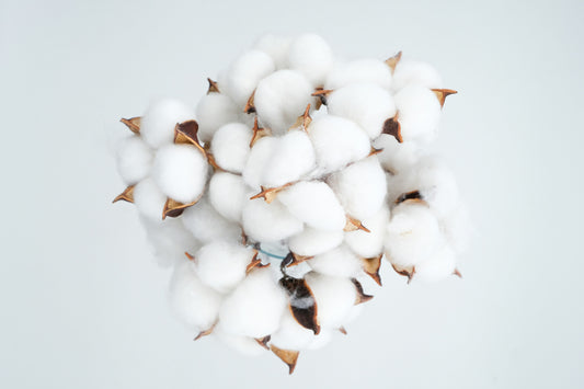 How Cotton Thread Count Affects the Feel of Everyday Bed Sheets