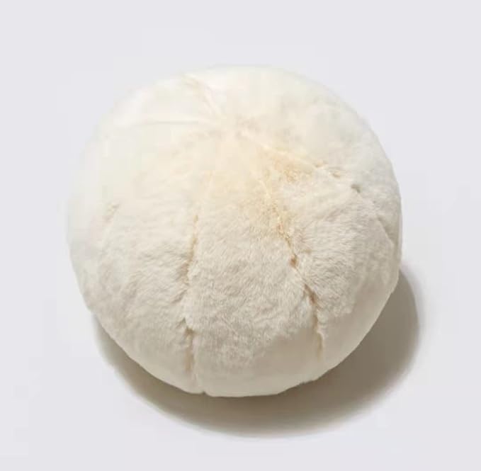 MOJUN Plush Ball Pillow, Round Throw Pillow Home Decoration Floor Pillow Cushion, Sphere Pillow for Chair Couch Sofa Bedroom Gift (13.77inch, White)