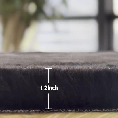 Faux Rabbit Fur Rug Machine Washable Area Rugs Black Fur Rug for Living Room Fuzzy Rugs for Bedroom Teen Room Decor Small Sheepskin 2x3 Rectangle Rugs