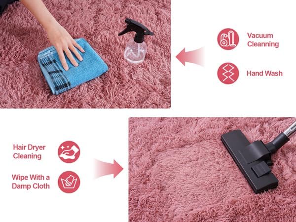 Blush Fluffy Area Rugs for Living Room, Soft Shaggy Carpets for Living Room, Upgrade Anti-Skid Fuzzy Rugs for Kids' Room, Perfect Decor for Modern Home 5x7 Feet