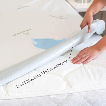 Twin Mattress Protector by PURE BAMBOO, Waterproof - Viscose Derived from Bamboo, Breathable, Noiseless Mattress Cover Protects Against Moisture, Spills, Stains (Twin)