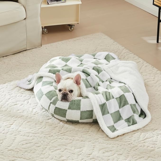 Checkered Dog Blanket, Sage Green Jacquard Sherpa Blankets for Small Dog and Cats, Cute Aesthetic Style Fluffy Fleece Pets Blanket for Couch Protection Washable, 40"x50"