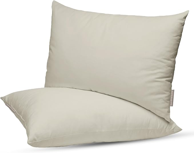 Haven & Glow Decorative Throw Pillow Cover – Square Cushion Case with Zipper | Modern Sofa, Couch & Bed Accent Pillow Covers for Living Room, Bedroom & Home Decor | 20 x 18 inches – Silver Blue – 2 Pc