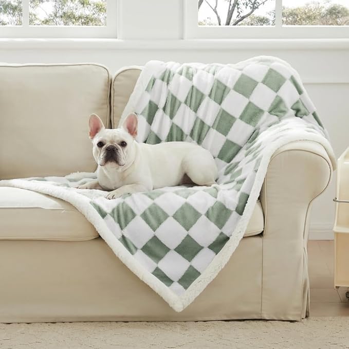 Checkered Dog Blanket, Sage Green Jacquard Sherpa Blankets for Small Dog and Cats, Cute Aesthetic Style Fluffy Fleece Pets Blanket for Couch Protection Washable, 25"x35"
