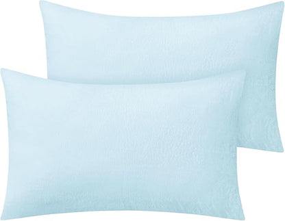 BEDELITE Flannel King Size Pillow Cases Set of 2, Super Soft Fleece Pillowcases with Zipper for Bedroom, Sofa, Couch,Luxury Cozy Fuzzy Velvet Pillow Shams for All Seasons(20x36 Inches,Blue)