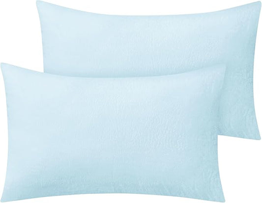 BEDELITE Flannel King Size Pillow Cases Set of 2, Super Soft Fleece Pillowcases with Zipper for Bedroom, Sofa, Couch,Luxury Cozy Fuzzy Velvet Pillow Shams for All Seasons(20x36 Inches,Blue)