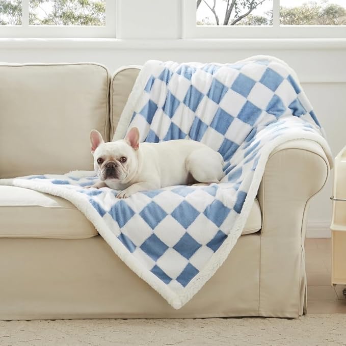 Checkered Dog Blanket, Blue Jacquard Sherpa Blanket for Small Dog and Cats, Cute Aesthetic Style Fluffy Fleece Pets Blanket for Couch Protection Washable, 25"x35"