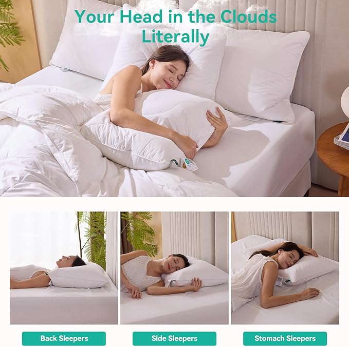 Three Geese White Goose Feather Down Pillows Standard Size Set of 1-100% Cotton, Medium Firm,Soft Support