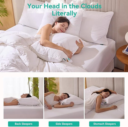 Three Geese White Goose Feather Down Pillows Queen Size Set of 2-100% Cotton, Medium Firm,Soft Support