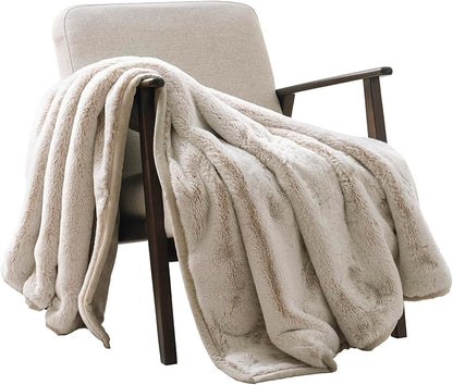 EVERGRACEHOME Ultra Soft Luxury Fluffy Mink Faux Fur Throw Blanket, Thick Warm Fall Winter Blankets for Bed, Couch, Cozy Plush Reversible Blanket for Chair, Sofa (Tipped Champagne Ivory, 60"x80")