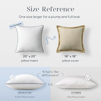 Phantoscope 20x20 Pillow Inserts, Decorative Throw Pillow Inserts with 100% Cotton Striped Cover, Virgin Fiber Pillow Sham Stuffer, Square Couch Cushion Pillows, Pack of 2, 20x20 Inch