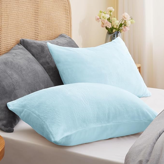 BEDELITE Flannel Pillow Cases Queen Size Set of 2, Super Soft Fleece Pillowcases with Zipper for Bedroom, Sofa, Couch,Luxury Cozy Fuzzy Velvet Pillow Shams for All Seasons(20x30 Inches,Blue)
