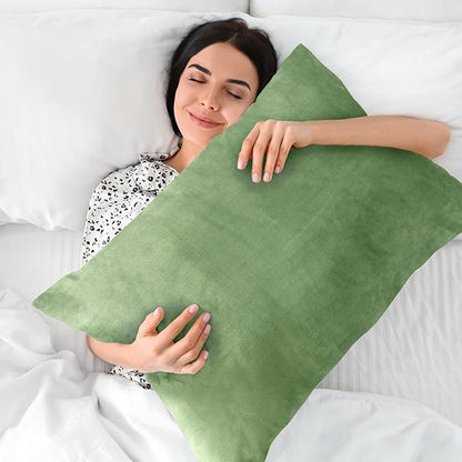 BEDELITE Flannel Pillow Cases Queen Size Set of 2, Super Soft Fleece Pillowcases with Zipper for Bedroom, Sofa, Couch,Luxury Cozy Velvet Pillow Shams for All Seasons(20x30 Inches,Sage Green)
