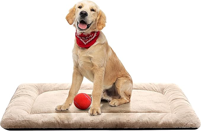 Dog Beds Crate Pad for Medium/Large Dogs Ultra Soft Dog Crate Bed Washable & Anti-Slip Kennel Pad for Dogs Cozy Sleeping Mat,Cream 36inch