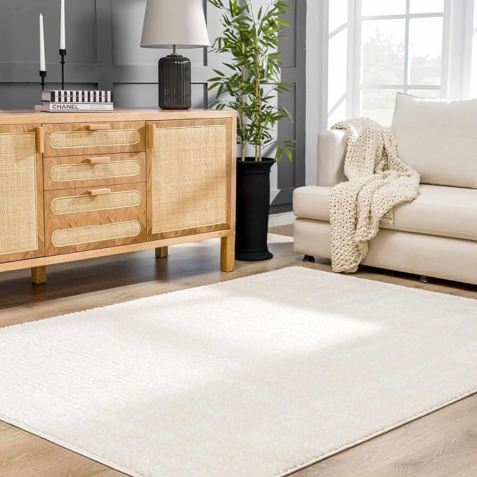 Hauteloom Keita Living Room, Bedroom Area Rug - Contemporary - High Pile - Bone - 9'2" x 12'