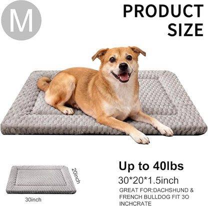 Dog Bed Mat - Dog Crate Pad - Reversible Mat for Pet Comfort - Soft Bed Crate Pads for All Seasons - Durable, Machine Washable Mat for Crates, Travel, and Home (Light Gray, 30" L*20" W*1.5" Th)