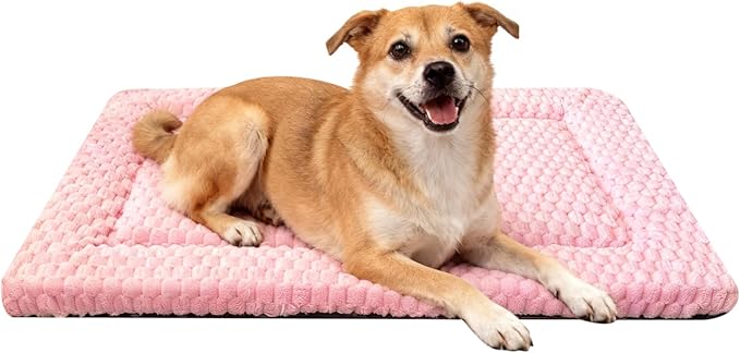 Dog Bed Mat, Reversible Dog Crate Pad - Washable Kennel Mat with Soft Support Foam, Flat Kennel Pad for Dogs & Cats, Double Pet Bed Perfect for Cage (Pink, 30" L x 20" W x 0.8" Th)