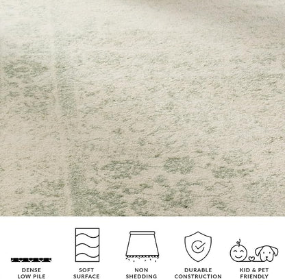 SAFAVIEH Area Rug 8x10 - Adirondack Collection - Large - Ivory & Sage, Distressed Vintage Floral Design, Non-Shedding & Easy to Clean, Ideal for Living Room, Bedroom, Dining Space (ADR109V)
