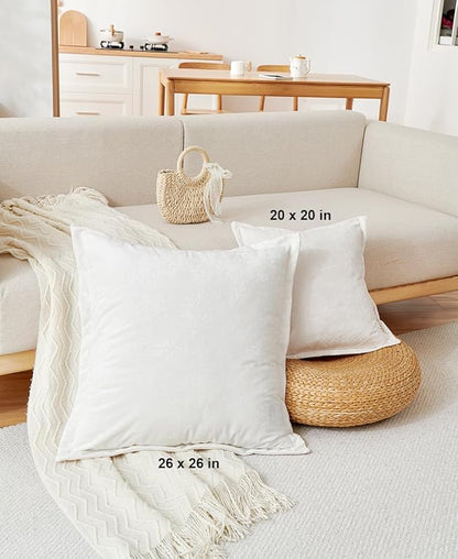 Luxurious Velvet Throw Pillow Covers 20x20 Set of 2 Decorative Pillow Covers Solid Square Cushion Case for Sofa Couch Bedroom Farmhouse, Off White