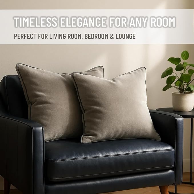 2 Pack Velvet Decorative Throw Pillow Covers, 20"x20", Dove Grey, Solid, Modern, Contrast Piping, Indoor Use, Bedroom & Living Room