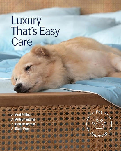 REST® Evercool® Cooling Comforter, Full/Queen, Blanket for Hot Sleepers, All Season Bedding to Keep Cool for Night Sweats, Breathable Lightweight Blanket, 90"x90" Inches, Aqua Blue