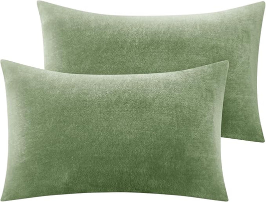 BEDELITE Flannel Pillow Cases Queen Size Set of 2, Super Soft Fleece Pillowcases with Zipper for Bedroom, Sofa, Couch,Luxury Cozy Velvet Pillow Shams for All Seasons(20x30 Inches,Sage Green)