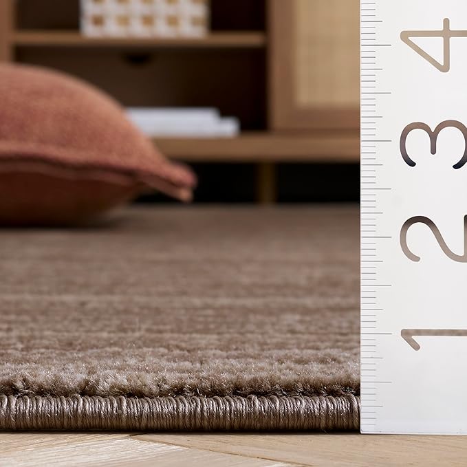 SAFAVIEH Vision Collection Area Rug - 4' Square, Light Brown, Modern Ombre Design, Non-Shedding & Easy to Clean, Ideal for Living Room, Bedroom, Dining Space (VSN606C)