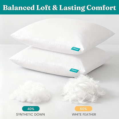 Oubonun 24x24 Feather Down Alternative Throw Pillow Inserts, 100% Cotton Cover, Medium Firm Decorative Pillow Inserts for Couch, Sofa, Bed, Chair (Set of 2)