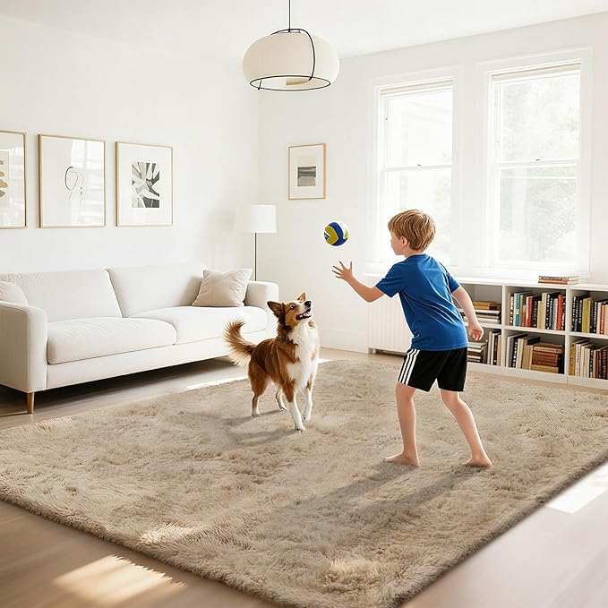 Fluffy Rug Shaggy Area Rug, Beige 2x4 Area Rugs for Bedroom, Small Bedside Rug, Soft Fluffy Shaggy Entryway Throw Rugs for Living Room Bedroom Kids Room Home Decor