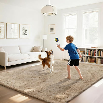 Fluffy Rug Shaggy Area Rug, Beige 2x4 Area Rugs for Bedroom, Small Bedside Rug, Soft Fluffy Shaggy Entryway Throw Rugs for Living Room Bedroom Kids Room Home Decor