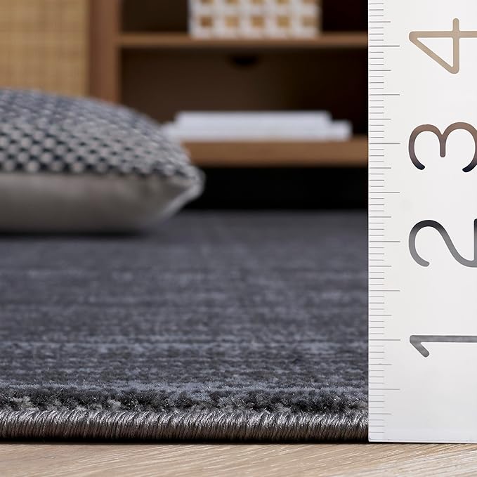 SAFAVIEH Area Rug 8x10 - Vision Collection - Large - Grey, Modern Ombre Design, Non-Shedding & Easy to Clean, Ideal for Living Room, Bedroom, Dining Space (VSN606D)