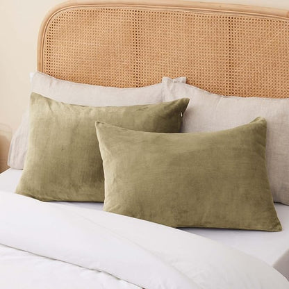 BEDELITE Flannel Pillowcases Standard Set of 2, Super Soft Fleece Pillow Case Cover with Zipper for Bedroom, Sofa, Couch,Luxury Cozy Fuzzy Velvet Pillow Shams for All Seasons(20x26 Inches, Camel)