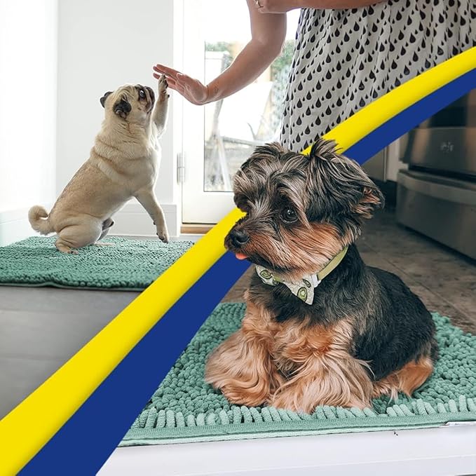 Muddy Mat® AS-SEEN-ON-TV Highly Absorbent Microfiber Door Mat and Pet Rug, Non Slip Thick Washable Area and Bath Mat Soft Chenille for Kitchen Bedroom Indoor and Outdoor - Seafoam Green 24" x 72"