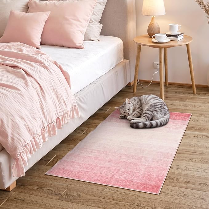 Wonnitar Modern Ombre Small Rug, 2x3 Pink Bathroom Rugs, Contemporary Kitchen Rugs and Mats Washable, Non-Slip Soft Gradient Bedroom Accent Throw Floor Carpet for Bedside Bath Dorm (Pink, 2'x3')