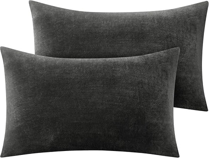 BEDELITE Flannel Pillow Cases Queen Size Set of 2, Super Soft Fleece Pillowcases with Zipper for Bedroom, Sofa, Couch,Luxury Cozy Velvet Pillow Shams for All Seasons(20x30 Inches,Dark Gray)