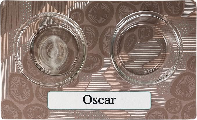 Drymate Personalized Pet Bowl Placemat, Custom Dog & Cat Food Feeding Mat - Absorbent Fabric, Waterproof Backing - Machine Washable/Durable (USA Made) (12" x 20") (Abstract Lines Grey)