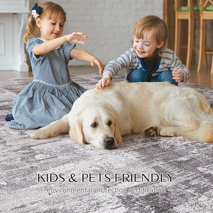 Abstract Living Room Rug 10x14 - Modern Washable Soft Thin Area Rug for Living Room Bedroom Under Dining Table - Neutral Indoor Floor Rug Carpets for Home Office Playroom Nursery - Grey