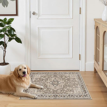 Vintage Living Room Area Rug 3x5 - Large Soft Washable Oriental Traditional Distressed Farmhouse Rugs for Bedroom - Indoor Floor Accent Carpet for Home Office House Decor - Brown