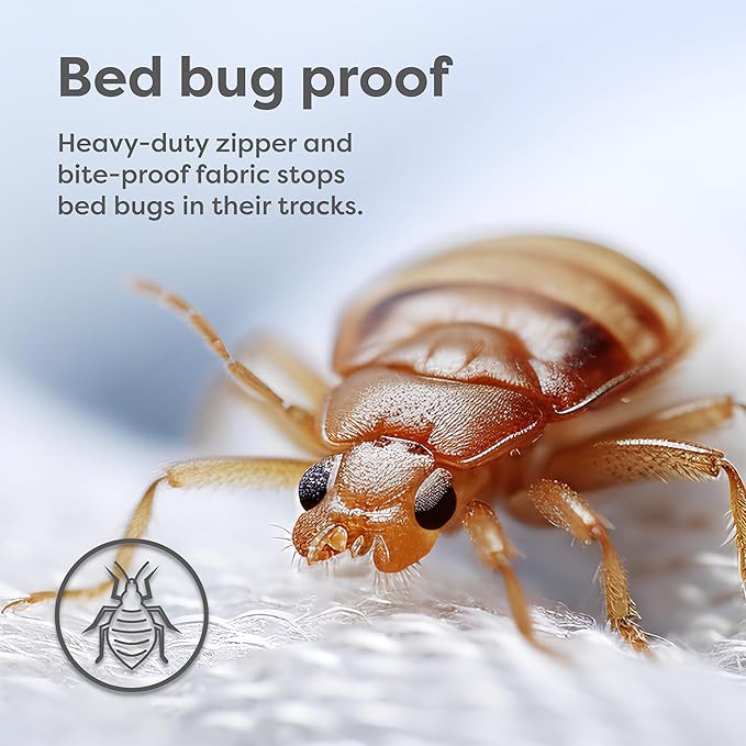 HOSPITOLOGY PRODUCTS Pillow Encasement- Zippered Bed Bug Dust Mite Proof Hypoallergenic - Sleep Defense System - Standard - Waterproof - Set of 2 - 20" H x 26" W