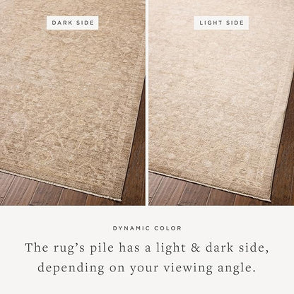 Loloi Chris Loves Julia Palma Collection PLM-01 Bark/Natural 3'-6" x 5'-6" Accent Rug Vintage Style Boho Living Room Bedroom Carpet