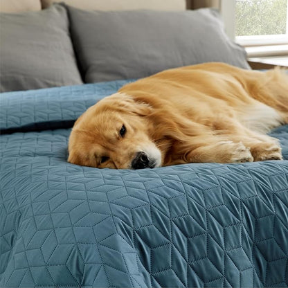 Bedsure 100% Waterproof Couch Cover for Dogs Washable - Non Slip Waterproof Dog Blanket for Couch Sofa, Lightweight Furniture Protector Durable for Pet Cat Puppy with Non-Slip Bottom, Blue, 40x50IN