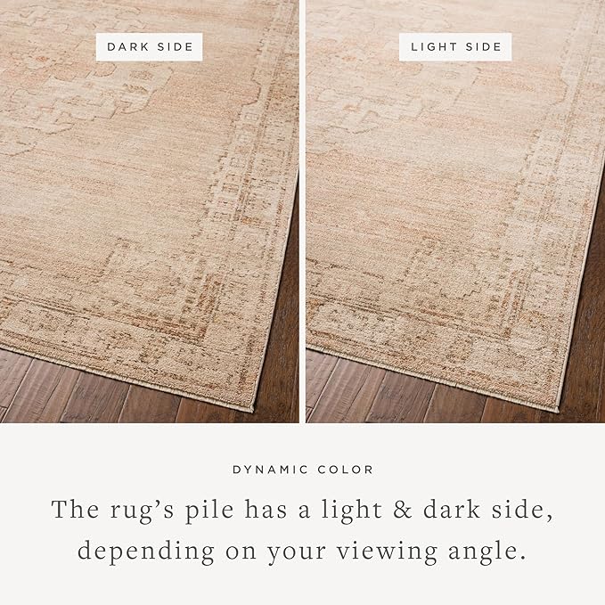 Loloi Chris Loves Julia Palma Collection PLM-02 Spice/Natural 7'-10" x 10' Area Rug Vintage Style Boho Living Room Bedroom Carpet