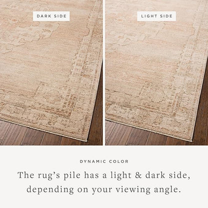 Loloi Chris Loves Julia Palma Collection PLM-02 Spice/Natural 7'-10" x 10' Area Rug Vintage Style Boho Living Room Bedroom Carpet