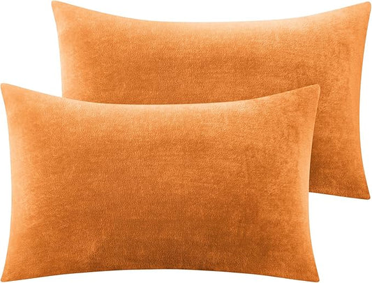 BEDELITE Flannel Pillow Cases Queen Size Set of 2, Super Soft Fleece Pillowcases with Zipper for Bedroom, Sofa, Luxury Cozy Fuzzy Velvet Pillow Shams for All Seasons(20x30 Inches,Burnt Orange)