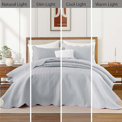 IR Imperial Rooms Queen Quilt Bedding Set Size (90" x 96") + 2 Pillow Shams (20" x 26"+ 2") - 3 Pcs All Season Lightweight Reversible Microfiber Coverlet Embossed Quilt Bedspread (Silver)