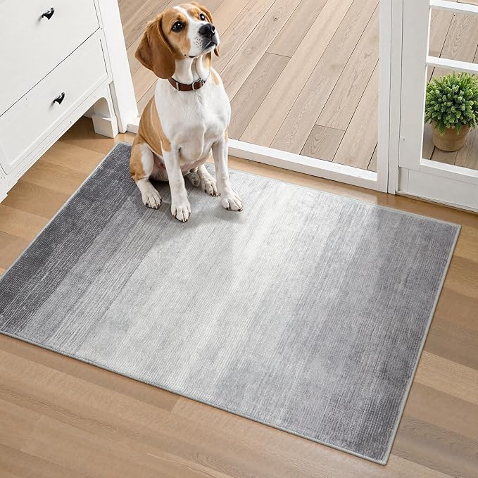 Wonnitar Modern Ombre Small 2x3 Entryway Rug, Washable Grey Front Door Mat, Non-Slip Contemporary Kitchen Accent Mat Gradient Faux Wool Indoor Floor Carpet for Bathroom Bedside Entrance (Grey, 2'x3')