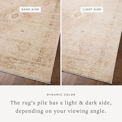 Loloi Chris Loves Julia Palma Collection PLM-06 Natural/Smoke 11'-6" x 15'-7" Fringe Area Rug Vintage Style Boho Living Room Bedroom Carpet