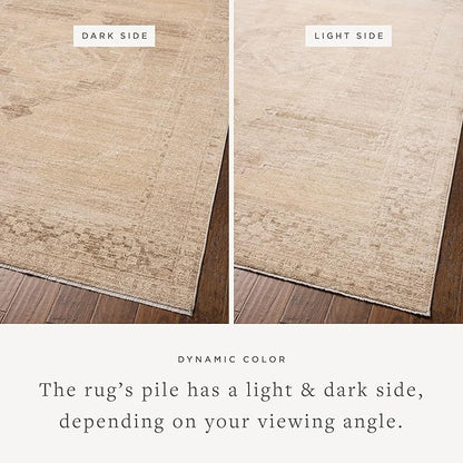 Loloi Chris Loves Julia Palma Collection PLM-07 Wheat/Taupe 2'-7" x 7'-6" Fringe Runner Rug Vintage Style Boho Living Room Bedroom Carpet