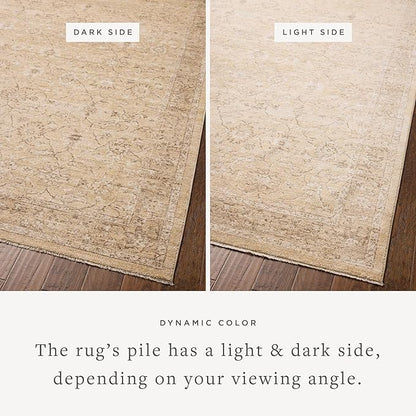 Loloi Chris Loves Julia Palma Collection PLM-10 Wheat/Bark 2'-7" x 12'-0" Fringe Runner Rug Vintage Style Boho Living Room Bedroom Carpet